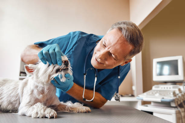 Best Emergency Root Canal Therapy in Cedar Knolls, NJ